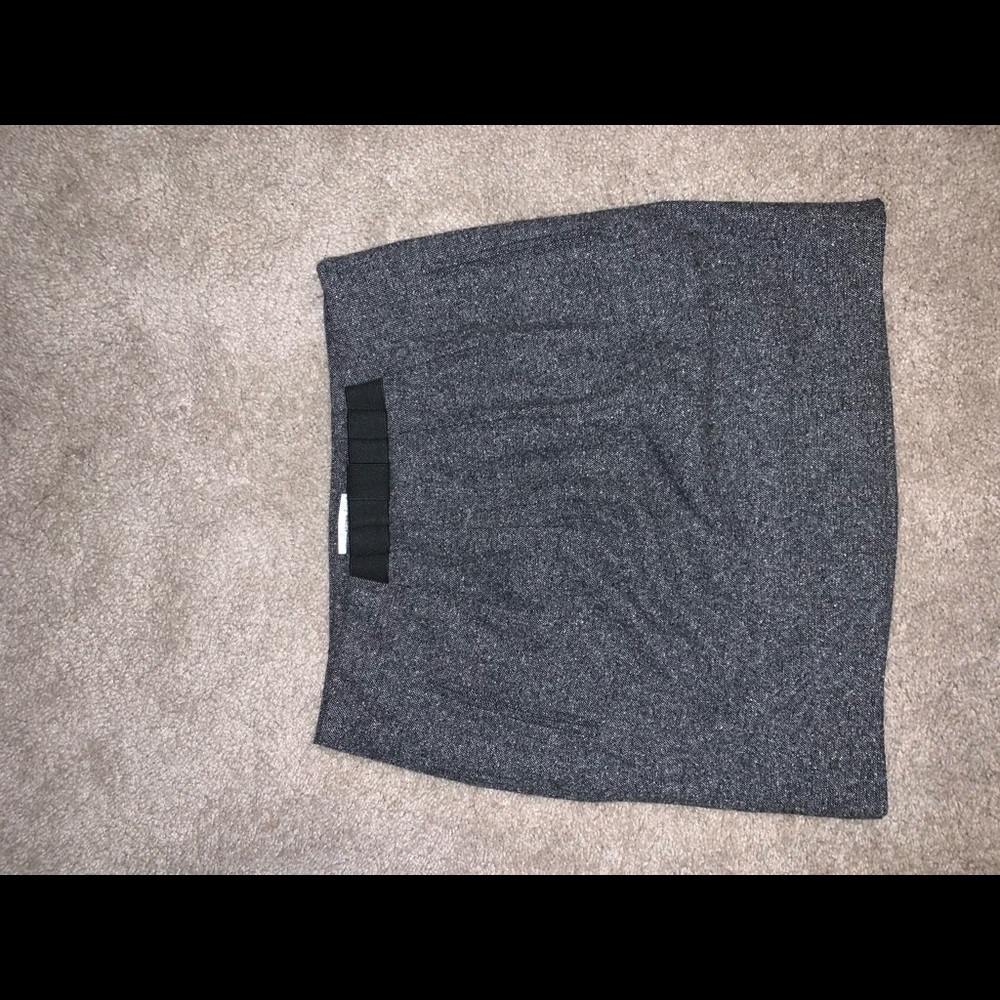 Anne Taylor Loft Skirt